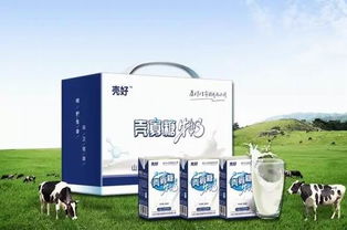 衛(wèi)康 以科技創(chuàng)新驅動健康事業(yè)，引領甲殼素農(nóng)業(yè)肥料新潮流