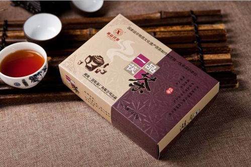 劉杏益 以甲殼素農(nóng)業(yè)肥料研發(fā)，踐行制茶大師的行業(yè)使命
